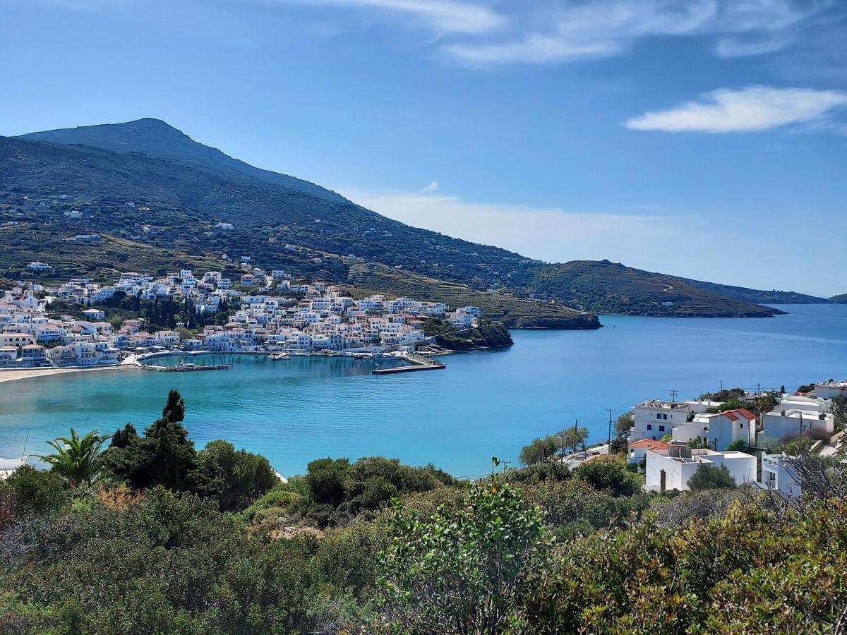 Villa Arni Andros - Βίλα Αρνη บาทซี ภายนอก รูปภาพ