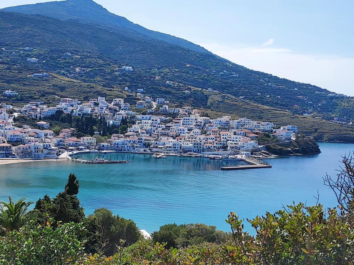 Villa Arni Andros - Βίλα Αρνη บาทซี ภายนอก รูปภาพ