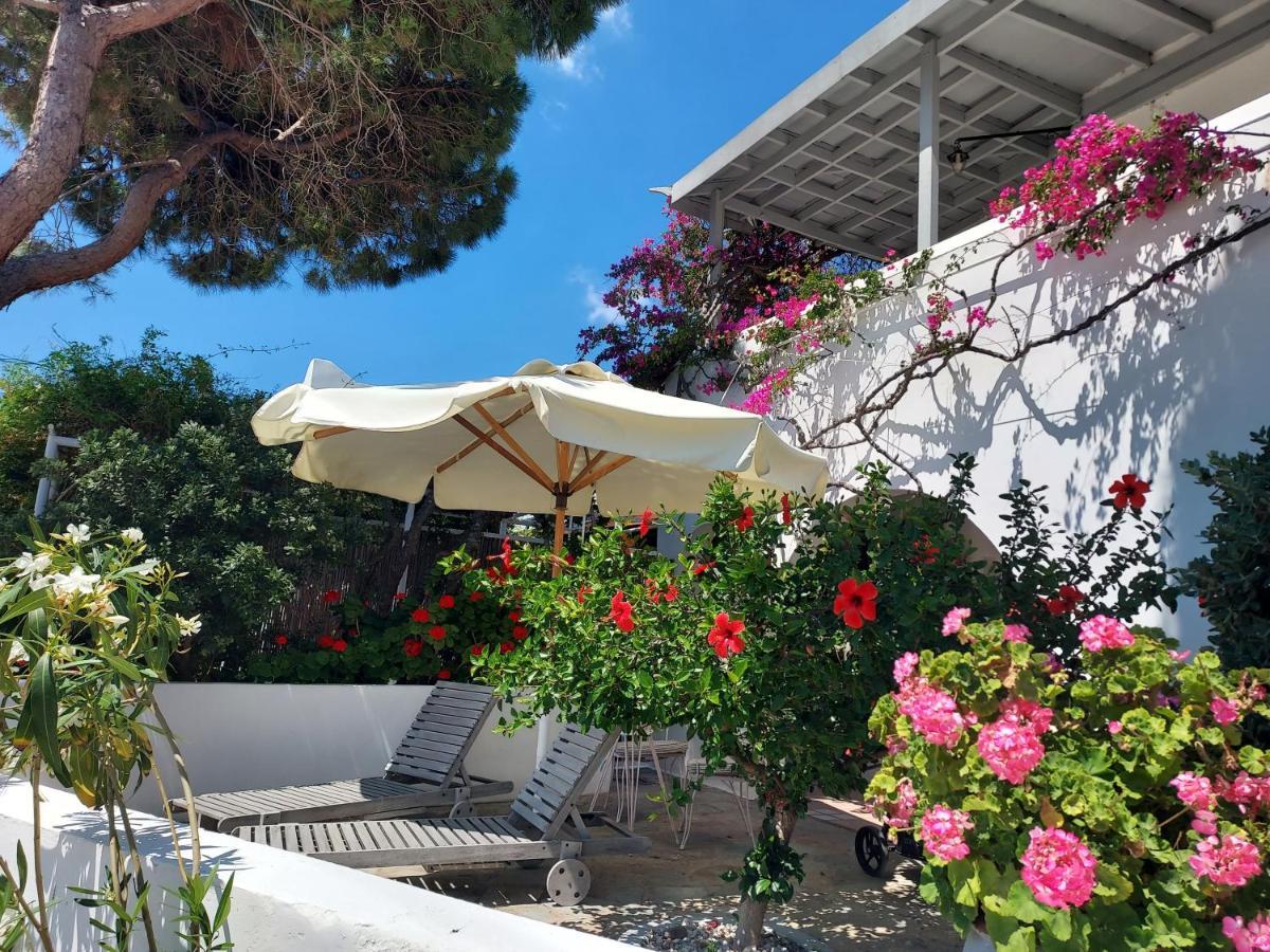 Villa Arni Andros - Βίλα Αρνη บาทซี ภายนอก รูปภาพ