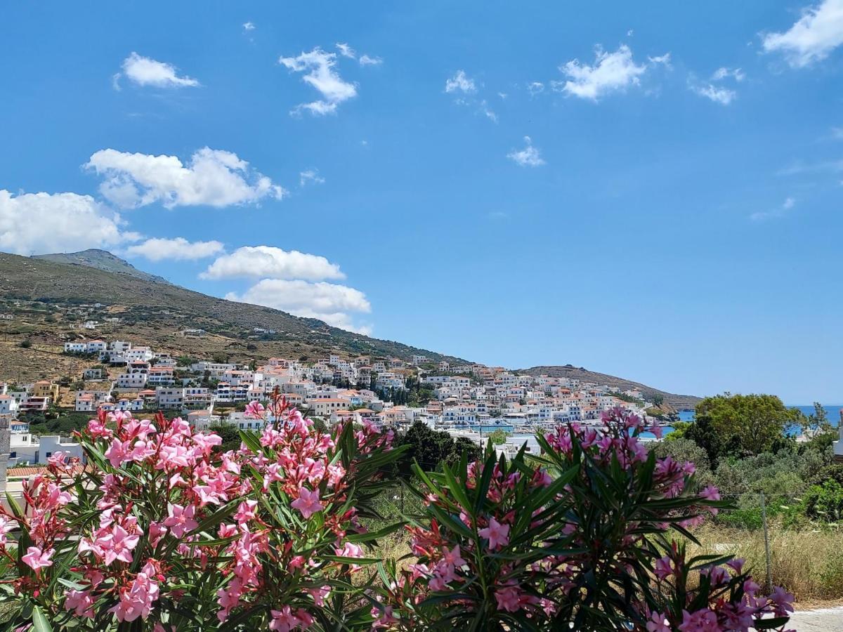 Villa Arni Andros - Βίλα Αρνη บาทซี ภายนอก รูปภาพ