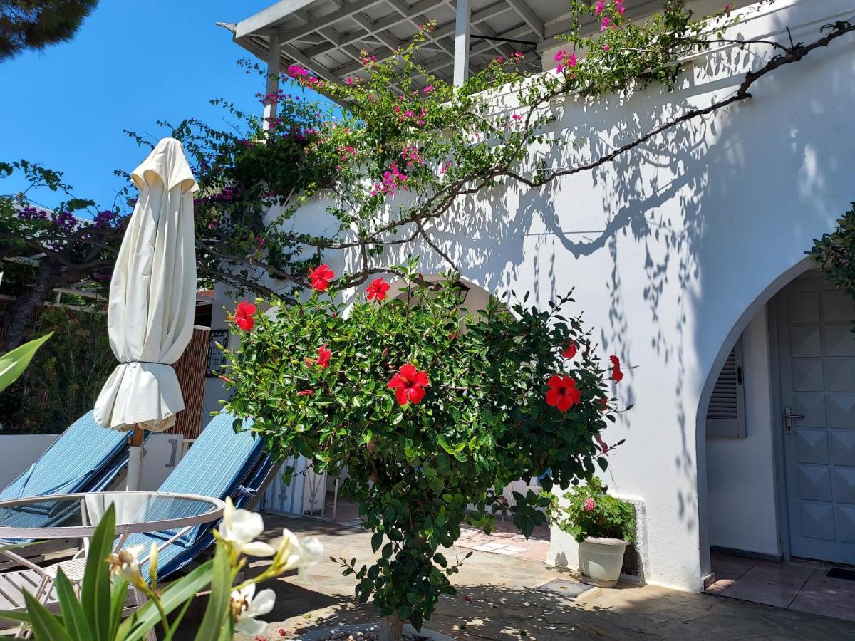 Villa Arni Andros - Βίλα Αρνη บาทซี ภายนอก รูปภาพ