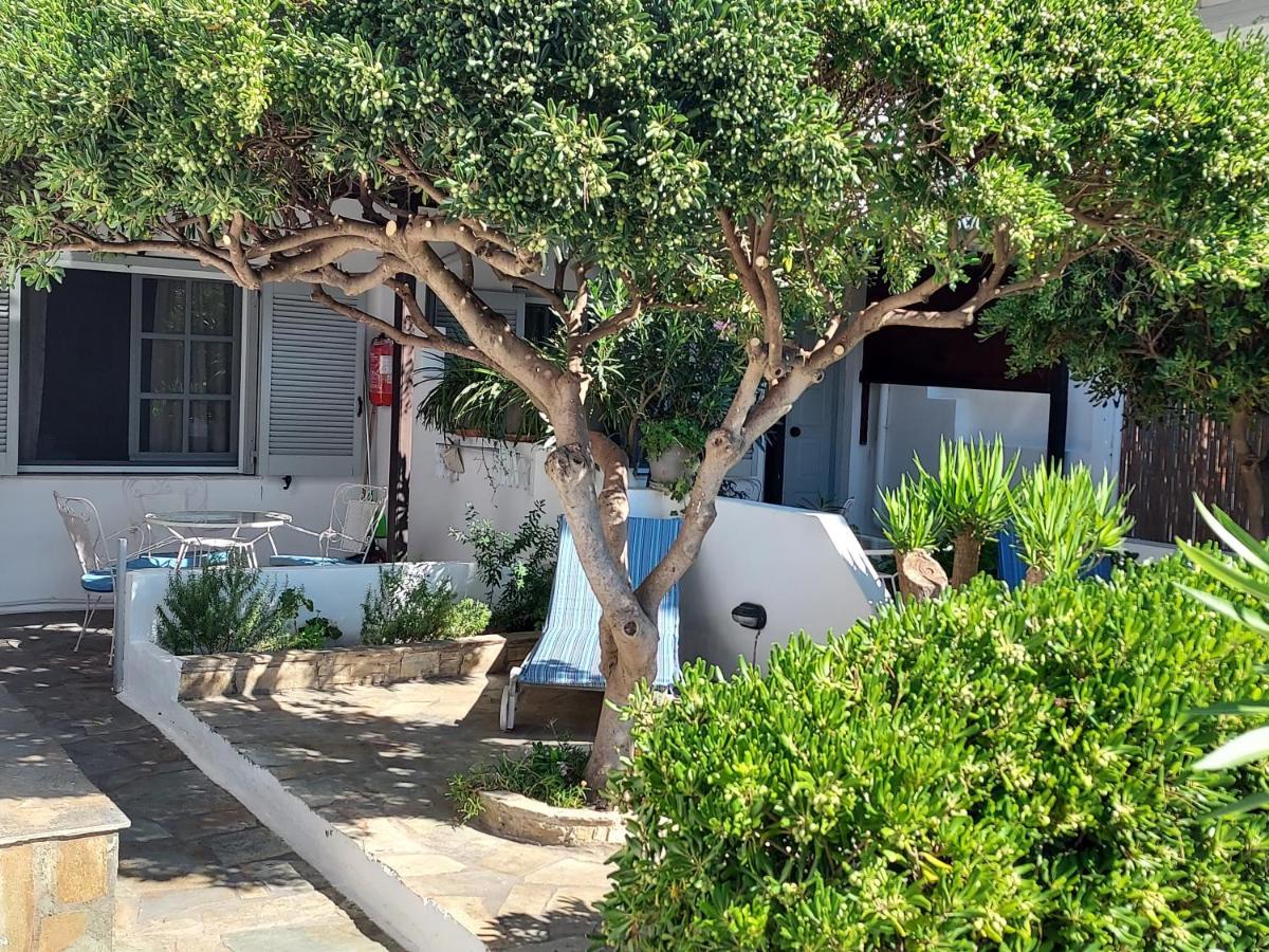 Villa Arni Andros - Βίλα Αρνη บาทซี ภายนอก รูปภาพ