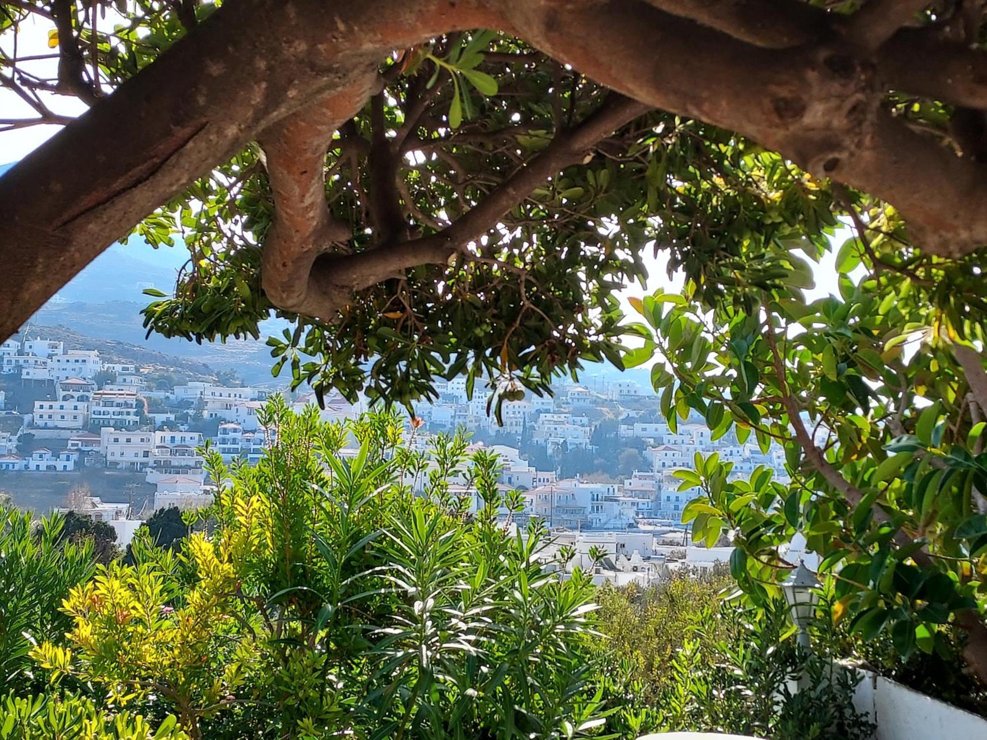 Villa Arni Andros - Βίλα Αρνη บาทซี ห้อง รูปภาพ