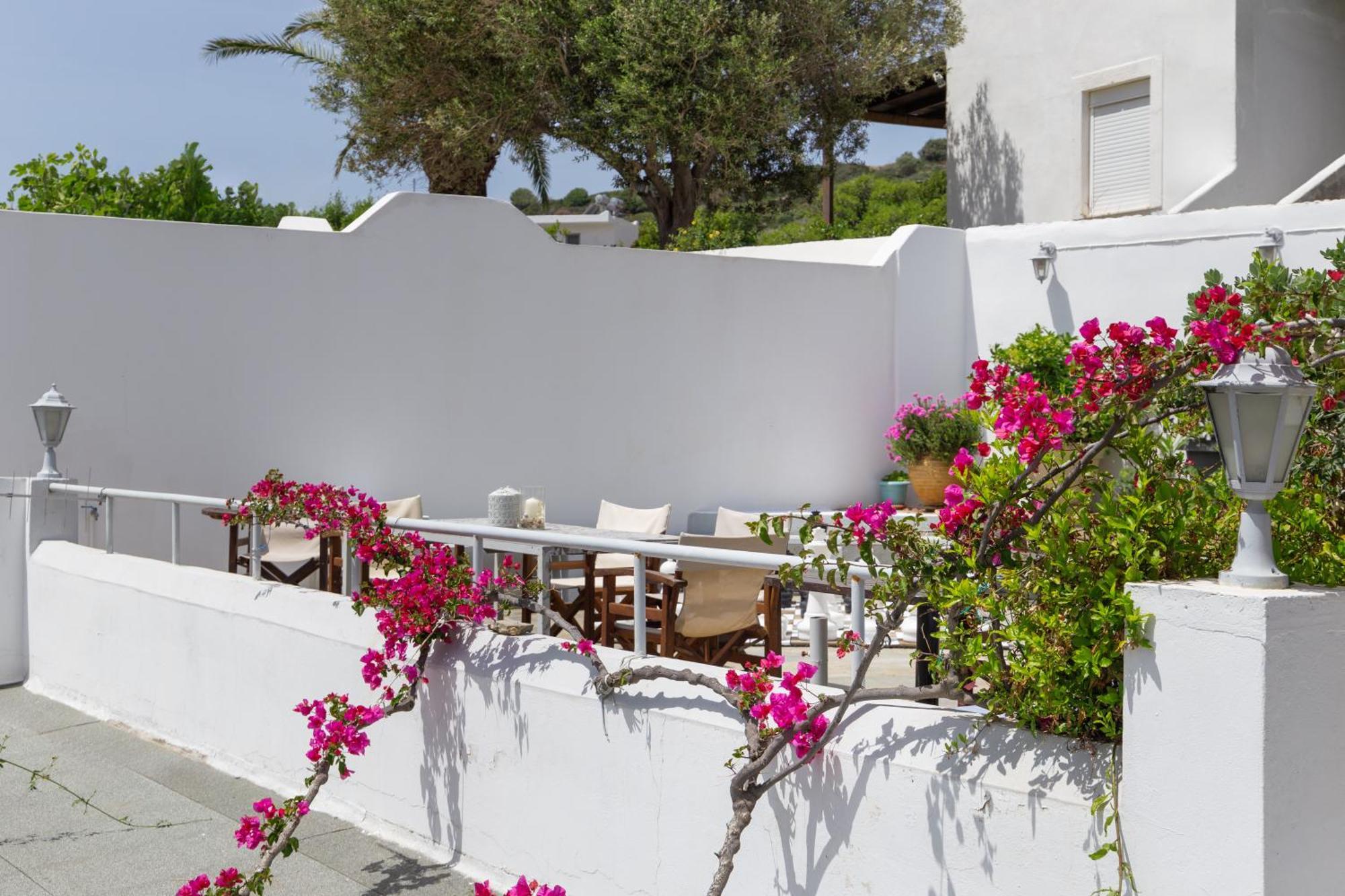 Villa Arni Andros - Βίλα Αρνη บาทซี ภายนอก รูปภาพ