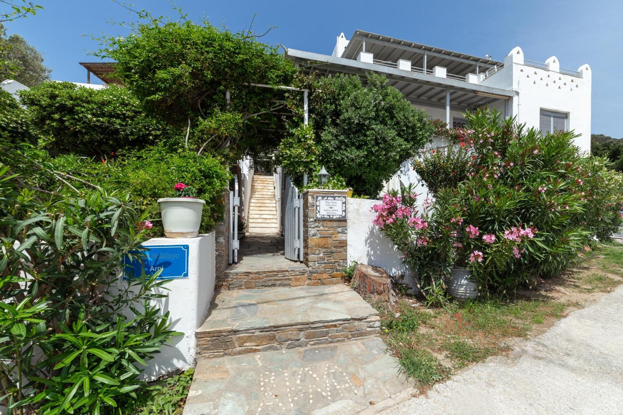 Villa Arni Andros - Βίλα Αρνη บาทซี ภายนอก รูปภาพ